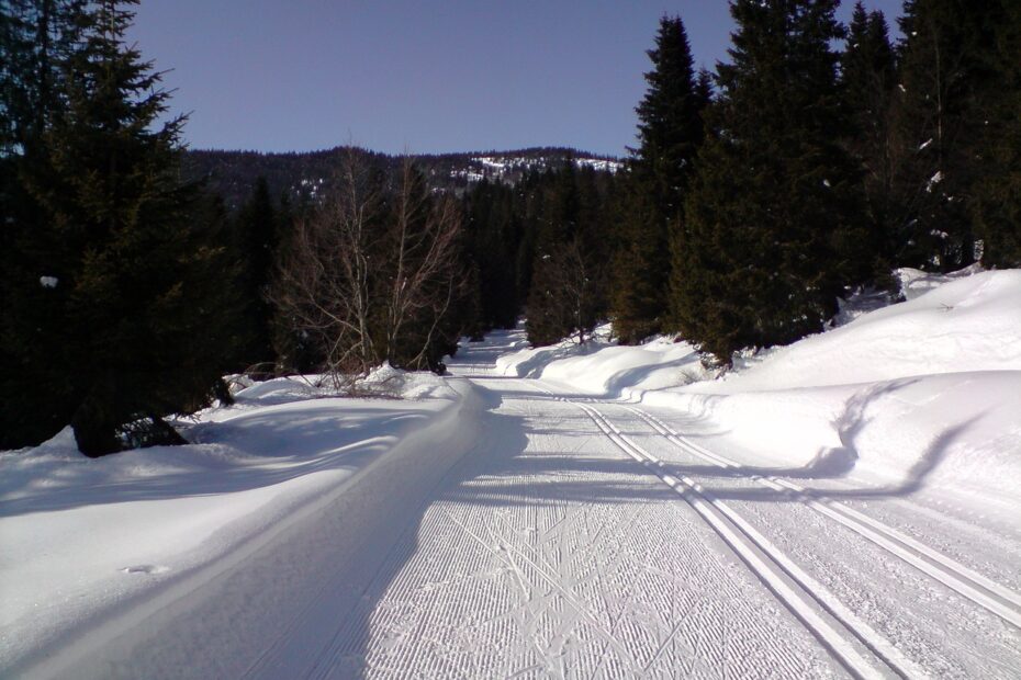 Ski Trails 599641 1280